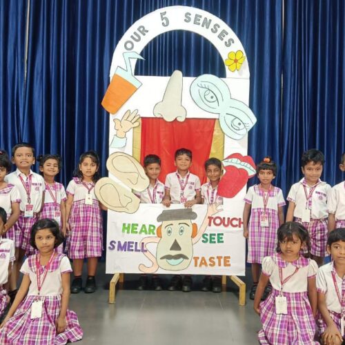 Sensory Day(Kinder World) On 23-01-2026